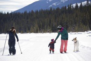 location: Nipika Mountain Resort, B.C., Canada family cross country skiing