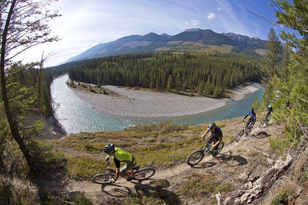 Mountain biking singletrack