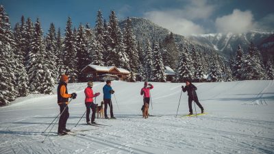 cross country ski lessons