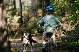 Biking with dogs