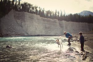 Nipika-slide-Pet-Friendly